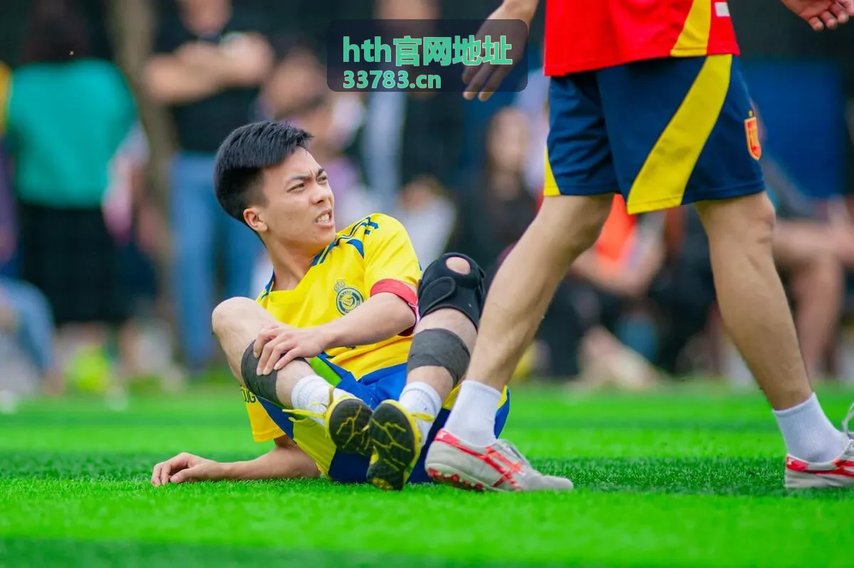 hth官网地址 会员等级权益对照配图